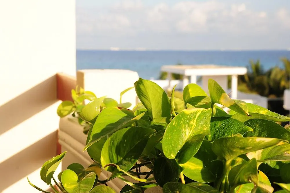 Hotel Posada Sian Kaan פלאייה דל כרמן