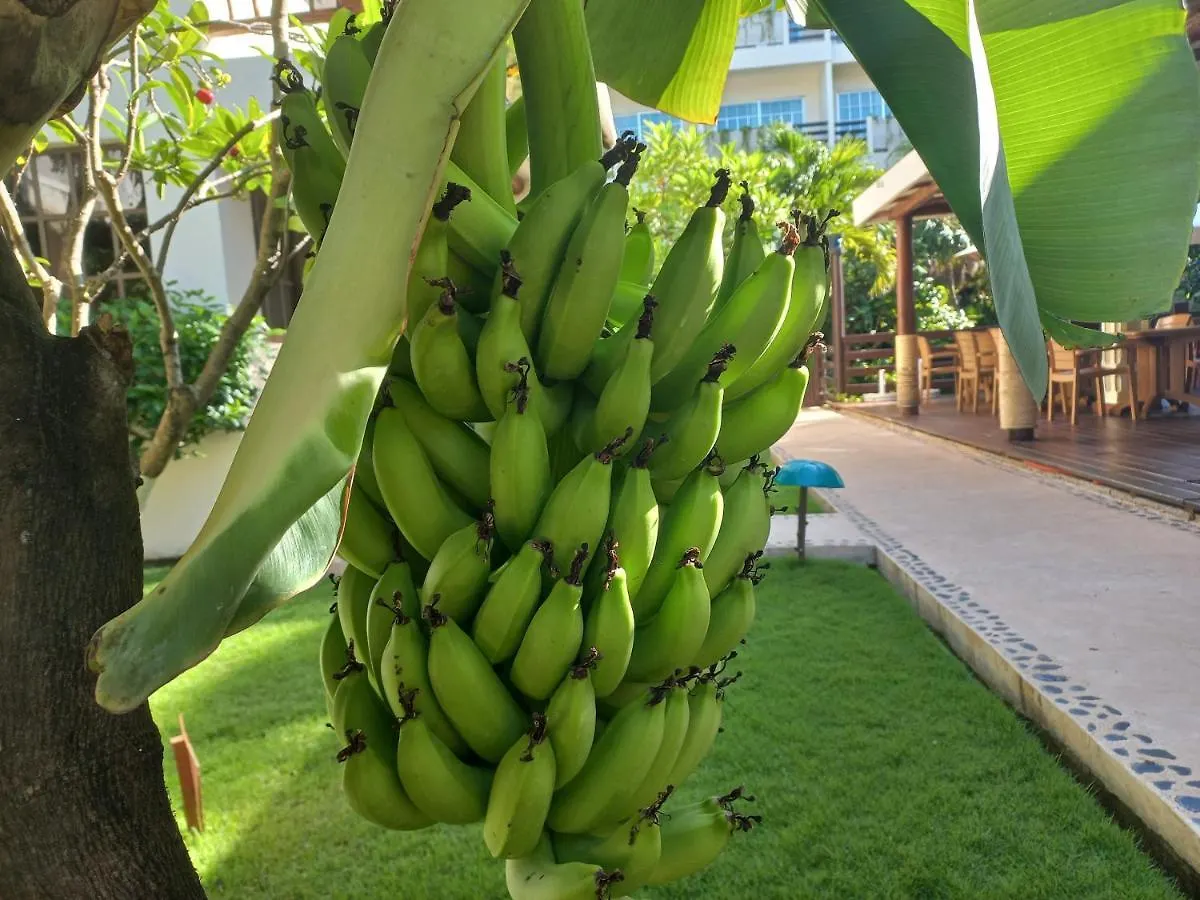 ***  Hotel Posada Sian Kaan פלאייה דל כרמן מקסיקו